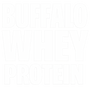 B-POWER PROTEIN